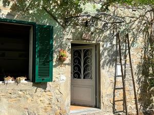 a door of a building with a ladder next to it at La Casina del Bassotto in Bagni di Lucca