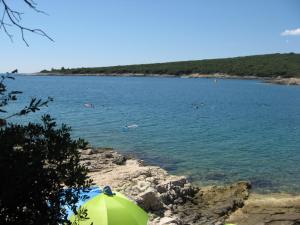 a beach with an umbrella and people swimming in the water at Natur in Šegotići