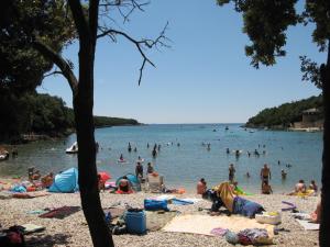 a group of people on a beach in the water at Natur in Šegotići