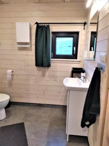 a bathroom with a sink and a toilet and a window at Sowi Stok in Sokolec