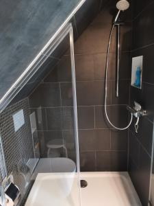 uma casa de banho com um chuveiro e um lavatório. em Dachstudio Herkulesblick em Kassel