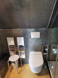een badkamer met een toilet en een tafel en spiegels bij Dachstudio Herkulesblick in Kassel