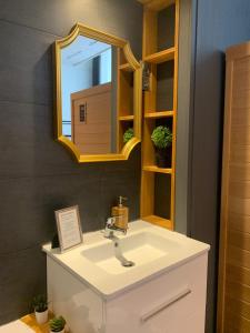 uma casa de banho com um lavatório branco e um espelho. em L'Appart d'Hugo em Chambéry