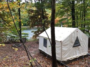 a tent in the woods next to a river at Tentrr Signature Site - River's Edge on the Canal in Pond Eddy