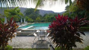 a swimming pool with chairs and a palm tree at Malinamoc Paradise in Dili