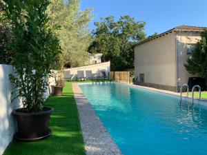 una piscina con una maceta en un patio en Villa Viñedo - Agradable Villa Rústica con Jardín, en Sotillo de las Palomas