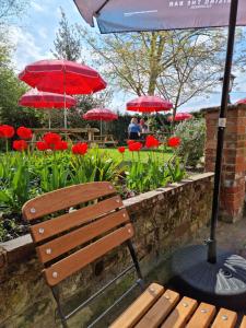 a wooden bench sitting next to a fire with an umbrella at The Three Horseshoes East Worldham in Alton