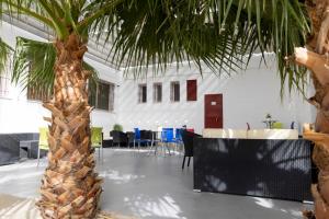 a palm tree in a room with tables and chairs at Albergue Inturjoven Jerez De La Frontera in Jerez de la Frontera