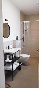 La salle de bains est pourvue d'un lavabo, d'une douche et de toilettes. dans l'établissement Wine & Hike, à Wincheringen