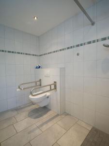 a bathroom with a toilet in a stall at Ferienwohnung Zum Deichgrafen in Bachem