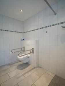 a bathroom with a toilet in a stall at Ferienwohnung Zum Deichgrafen in Losheim