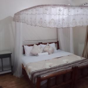 a bedroom with a bed with a canopy and pillows at Dream jet suites in Entebbe