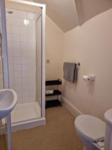 a bathroom with a shower and a toilet and a sink at The Three Horseshoes East Worldham in Alton