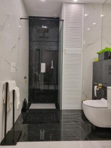 Łazienka w obiekcie Apartament Wyspiański
