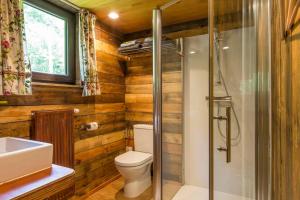 a bathroom with a toilet and a shower and a sink at Tiny House Cetturu - 2-pers luxe en romantisch boshuisje in Houffalize