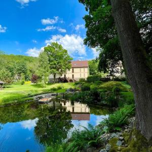 ein Haus neben einem Fluss mit Bäumen in der Unterkunft Mlýn Byňov 