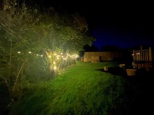 Moonlight Dome Tent外面的花园