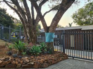 un árbol con una bolsa azul colgando de una valla en NOOii Open Plan Room, en Pretoria