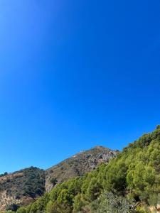 een berg met bomen en een blauwe lucht bij Casa rural huertas largas in Casarabonela