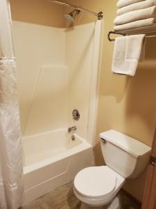a bathroom with a white toilet and a shower at Homestead Suites - Fish Creek in Fish Creek