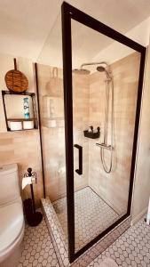 a bathroom with a shower and a toilet at Pils Parka Apartamenti in Kuldīga +7 photos