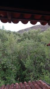 a view from the roof of a house with trees at Suite da Fernanda in Vila Velha