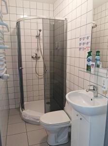 e bagno con doccia, servizi igienici e lavandino. di Orańska a Miedzygorze