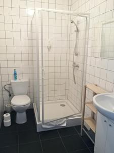 a bathroom with a shower with a toilet and a sink at Orańska in Miedzygorze