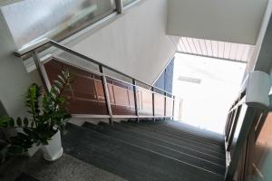 a staircase in a building with a window and a plant at HOSTEL OE in Yoshinogawa