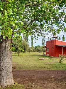 un bâtiment rouge dans un champ à côté d'un arbre dans l'établissement Finca La Calma, à San Rafael