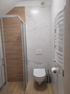 Kúpeľňa v ubytovaní Karolowy pokoje&apartamenty