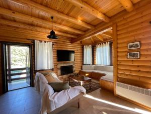 sala de estar con sofá y chimenea en Chalet Klimatia - Όμορφη ξύλινη μεζονέτα με τζάκι 