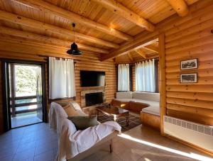 a living room with a couch and a fireplace at Chalet Klimatia - Όμορφη ξύλινη μεζονέτα με τζάκι 
