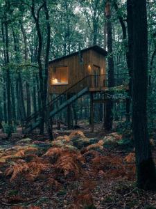 une cabane dans les arbres au milieu de la forêt dans l'établissement Youza ecolodge, à La Couture-Boussey