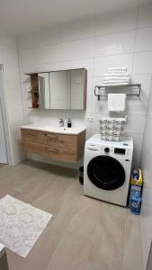 y baño con lavadora y lavamanos. en Ferienwohnung Karasek Deluxe en Sattendorf