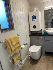 małą łazienkę z toaletą i umywalką w obiekcie The Hut in the Orchard @ Yorecroft w mieście Aysgarth