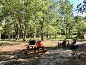 ein Picknicktisch und ein Grill in einem Park in der Unterkunft Tentrr Signature Site - Hidden Forest in Montgomery