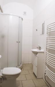 e bagno con doccia, servizi igienici e lavandino. di Penzion Zahrádka a Lázně Bohdaneč