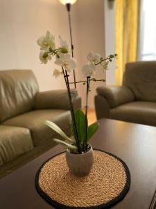 a vase with white flowers sitting on a table at MV Central Apartment & Garage - Self Check-in in Timişoara
