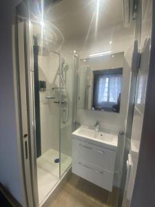 a white bathroom with a shower and a sink at Paris Marais Arev in Paris