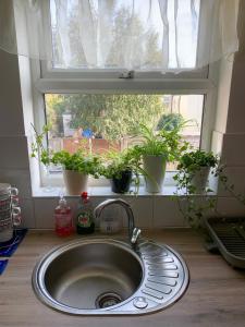 a kitchen sink in front of a window with potted plants at Apartments near the sea with free parking Southend-on-Sea in Southend-on-Sea