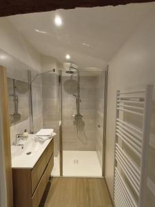 uma casa de banho com um chuveiro e um lavatório. em Chez Emma et Louise - Maison individuelle avec stationnement em Mâcon