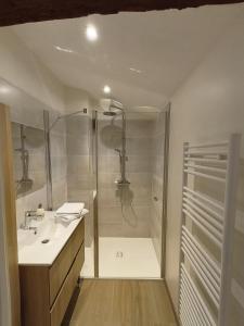 un bagno con doccia e lavandino di Chez Emma et Louise - Maison individuelle avec stationnement gratuit a Mâcon