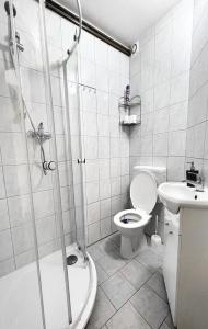 een badkamer met een douche, een toilet en een wastafel bij Penzion Zahrádka in Lázně Bohdaneč