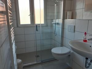 a bathroom with a shower and a toilet and a sink at Ferienwohnungen Steeg in Braunlage