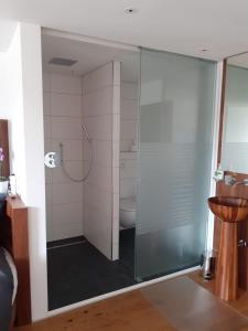 a bathroom with a glass shower with a toilet at Appartement Wettersteinblick mit Sauna und Pool in Seefeld in Tirol