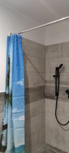 La salle de bains est pourvue d'une douche avec un rideau de douche bleu. dans l'établissement Apartmán Houmr, à Jáchymov
