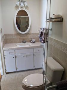 a bathroom with a toilet and a sink and a mirror at A lake, a mountain and the house with the red door in Clearlake