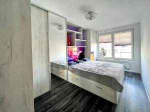 プラハにあるBritish Quarter Apartmentsの大きなベッドと大きな鏡のある寝室
