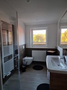 a bathroom with a toilet and a sink at Ferienwohnung Mack 1 in Wernigerode